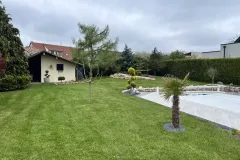 terrain
