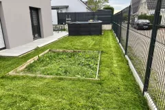 terrain